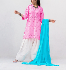 MSP-001-Zimal | Pink and Blue Dress Chicken Kari - 3 piece