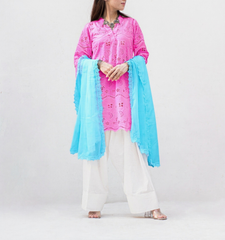 MSP-001-Zimal | Pink and Blue Dress Chicken Kari - 3 piece