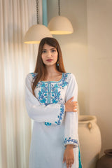 MSP 102 - Pink and Blue Lawn Ghara Suit