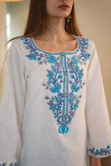 MSP 102 - Pink and Blue Lawn Ghara Suit