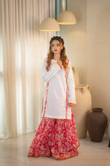 MSP 102 - Pink and Blue Lawn Ghara Suit